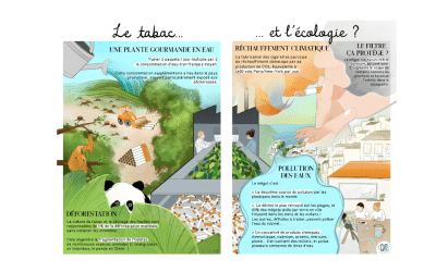 Impact Ecologique du Tabac